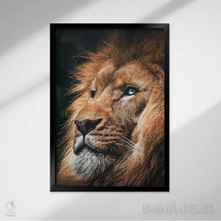 تابلو صورت شیر، سر حیوان اثر آدریان ویریو - نمای قابدار مشکی