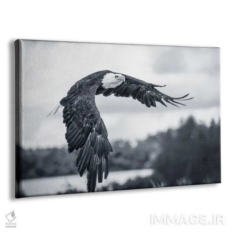 تابلو عقاب در حال پرواز اثر آدریان ویریو - نمای پرسپکتیو محصول