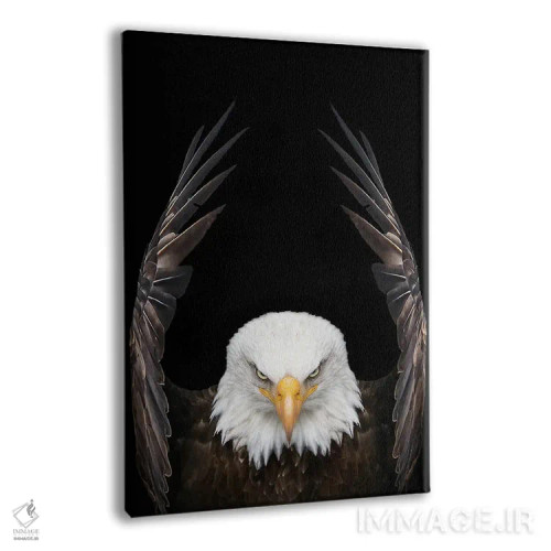 تابلو عقاب پادشاه پرندگان اثر آدریان ویریو - نمای پرسپکتیو محصول