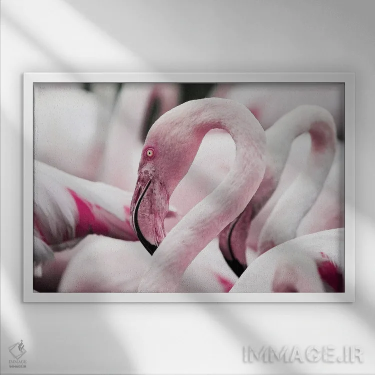 تابلو فلامینگوها اثر آدریان ویریو - نمای قابدار سفید