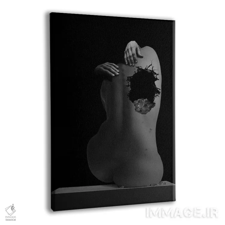 تابلو زن انتزاعی (سیاه و سفید) اثر آدریان ویریو - نمای پرسپکتیو محصول