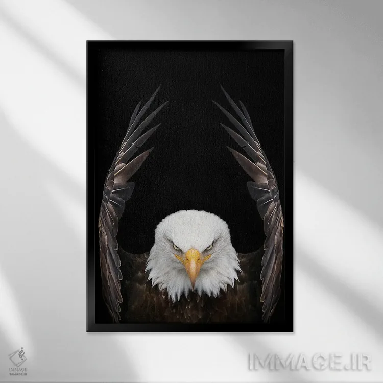 تابلو عقاب پادشاه پرندگان اثر آدریان ویریو - نمای قابدار مشکی