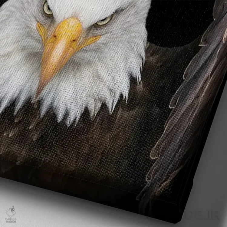 تابلو عقاب پادشاه پرندگان اثر آدریان ویریو - نمای نزدیک بافت بوم