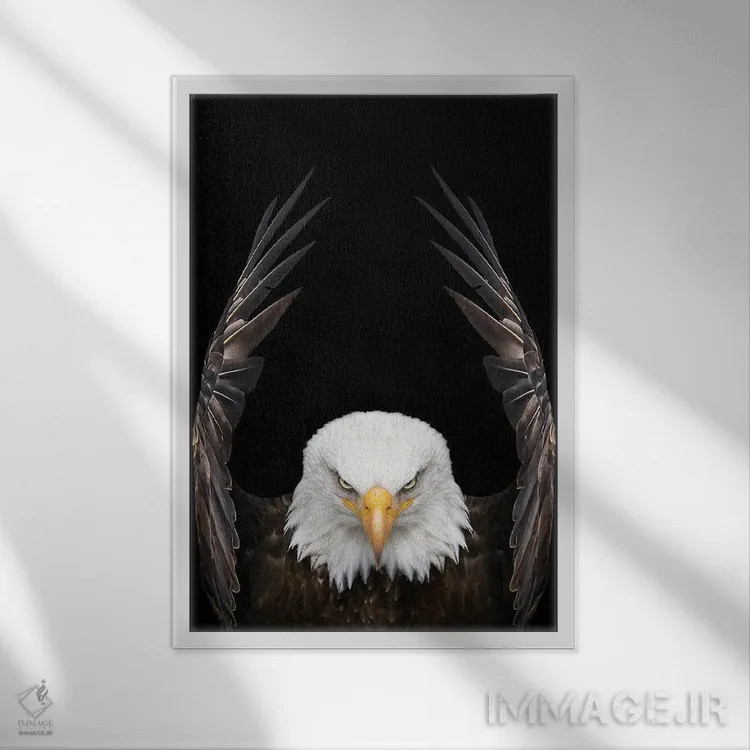 تابلو عقاب پادشاه پرندگان اثر آدریان ویریو - نمای قابدار سفید