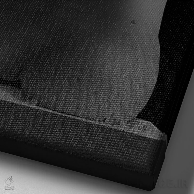 تابلو زن انتزاعی (سیاه و سفید) اثر آدریان ویریو - نمای نزدیک بافت بوم