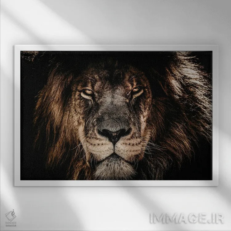 تابلو شیر با نگاه مستقیم اثر آدریان ویریو - نمای قابدار سفید