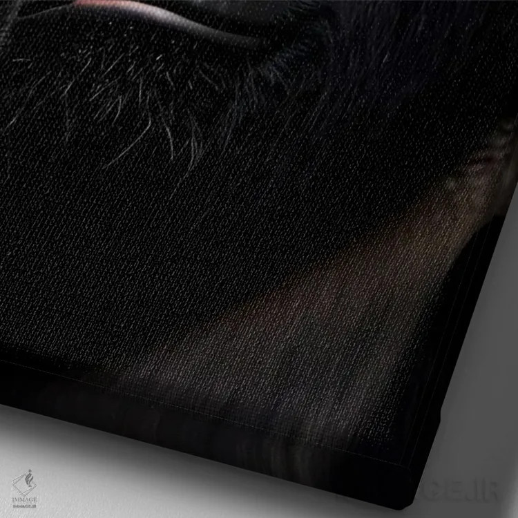 تابلو پرتره صورت گوریل روی پسزمینه سیاه اثر آدریان ویریو - نمای نزدیک بافت بوم