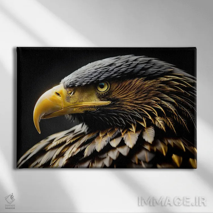 تابلو پرتره سر عقاب روی پسزمینه سیاه اثر آدریان ویریو - نمای روبهرو روی دیوار