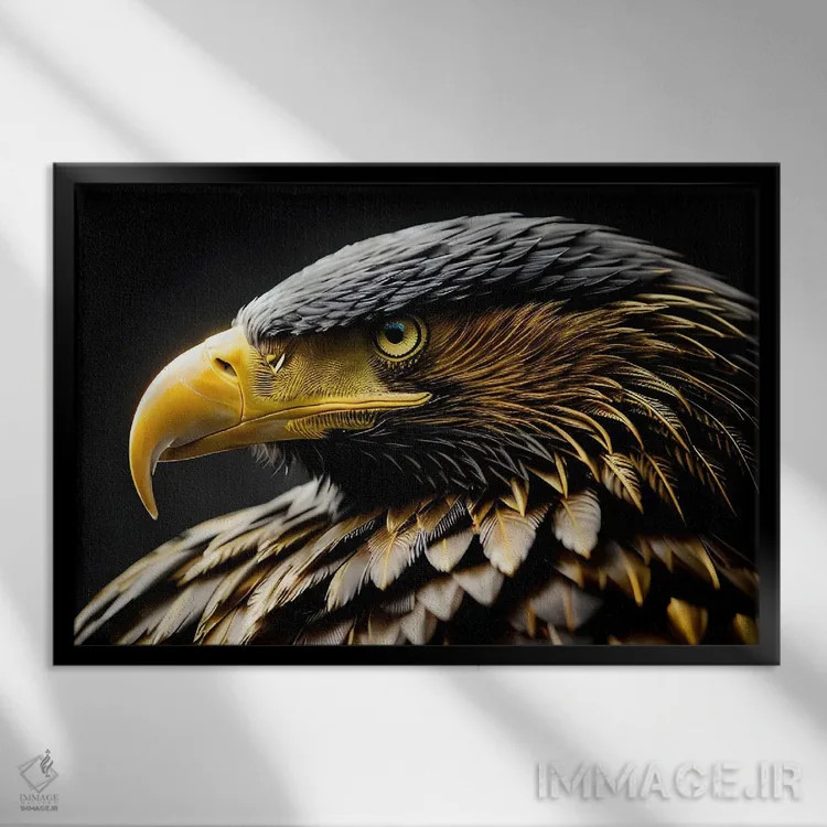 تابلو پرتره سر عقاب روی پسزمینه سیاه اثر آدریان ویریو - نمای قابدار مشکی