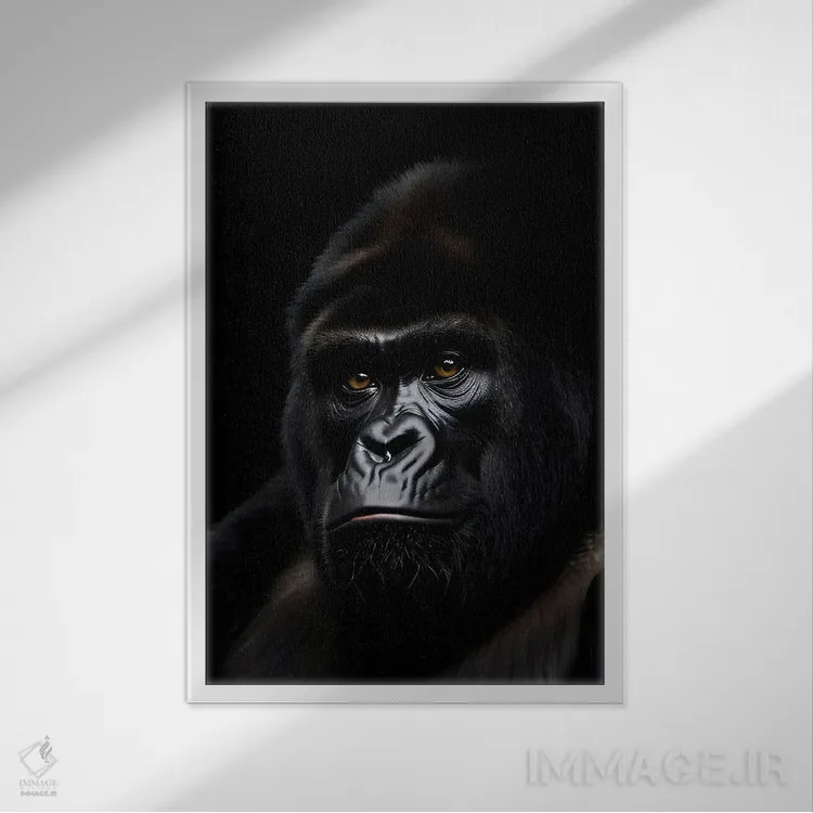تابلو پرتره صورت گوریل روی پسزمینه سیاه اثر آدریان ویریو - نمای قابدار سفید