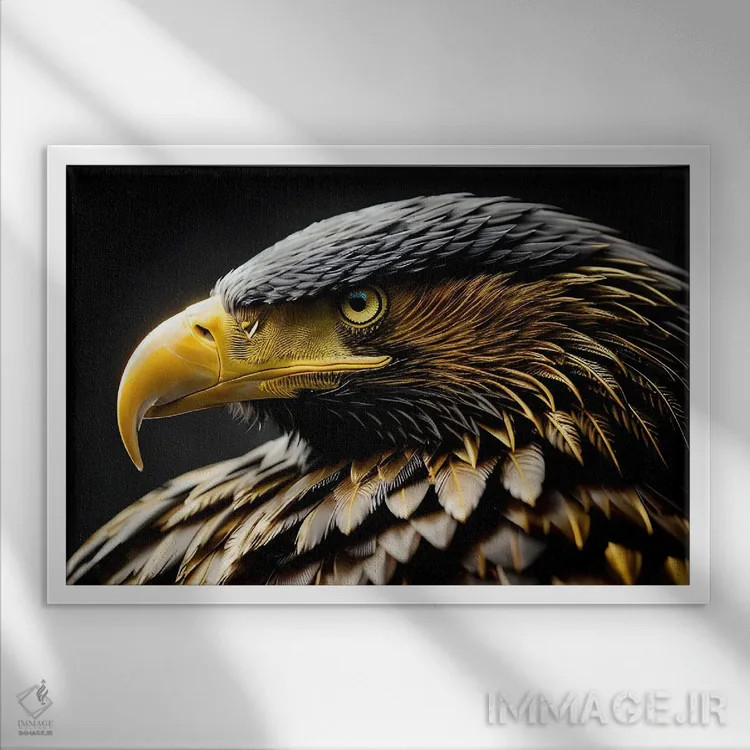 تابلو پرتره سر عقاب روی پسزمینه سیاه اثر آدریان ویریو - نمای قابدار سفید