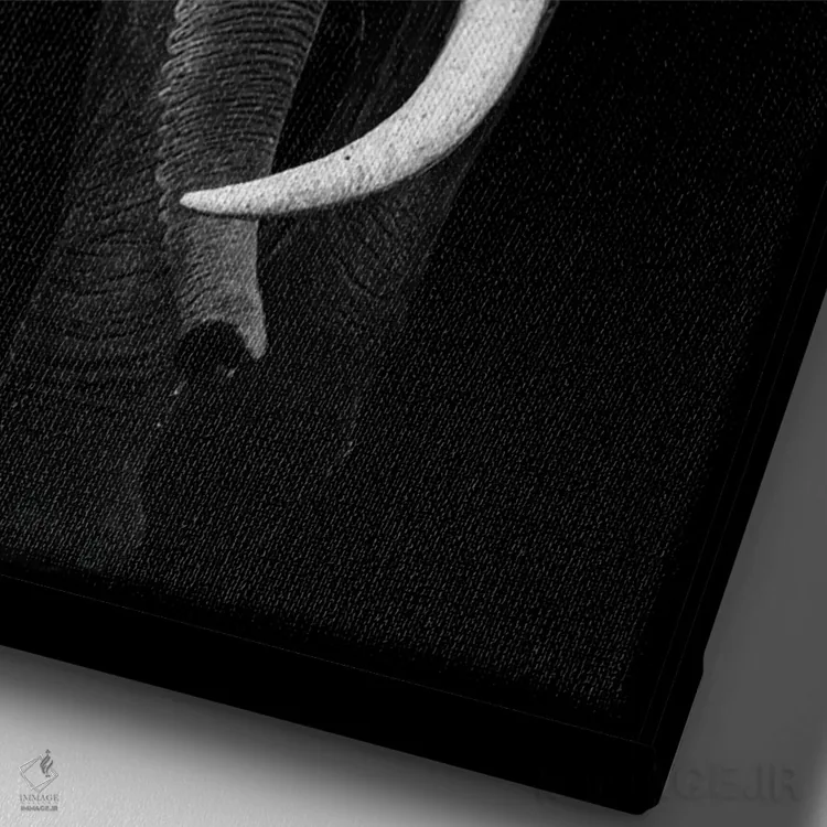 تابلو فیل سیاه و سفید اثر آدریان ویریو - نمای نزدیک بافت بوم