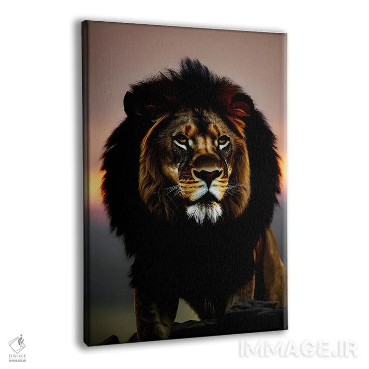 تابلو Animal,پرتره شیر در غروب خورشید اثر آدریان ویریو - نمای پرسپکتیو محصول
