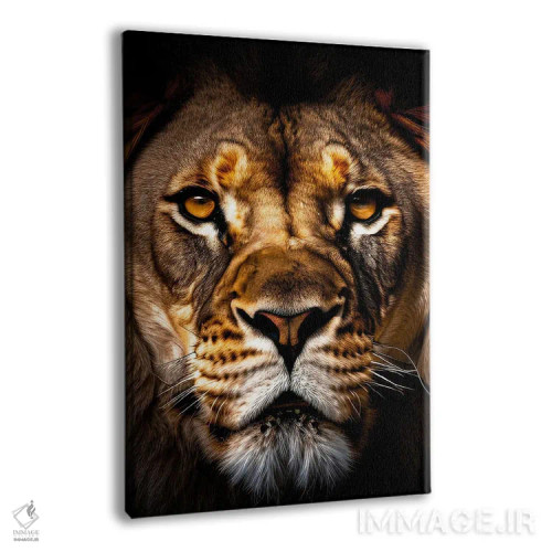 تابلو Animal II,پرتره صورت شیر به صورت جداشده اثر آدریان ویریو - نمای پرسپکتیو محصول