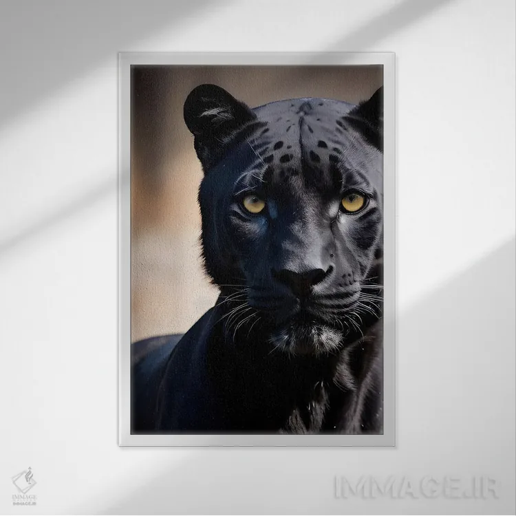 تابلو پلنگ سیاه (حیوان روی پسزمینه سیاه) اثر آدریان ویریو - نمای قابدار سفید