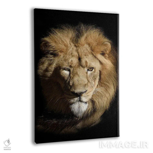 تابلو پرتره شیر به صورت جدا روی پسزمینه سیاه اثر آدریان ویریو - نمای پرسپکتیو محصول