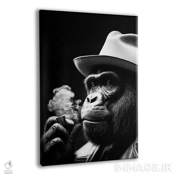 تابلو Hat On Head And Elegantly Dressed, Animal Black And White V,پرتره سیاهوسفید گوریل در حال سیگار کشیدن با کلاه و لباس شیک اثر آدریان ویریو - نمای پرسپکتیو محصول