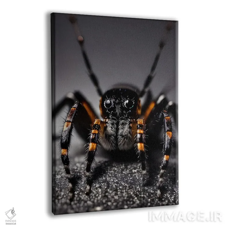 تابلو ماکرو عنکبوت اثر آدریان ویریو - نمای پرسپکتیو محصول
