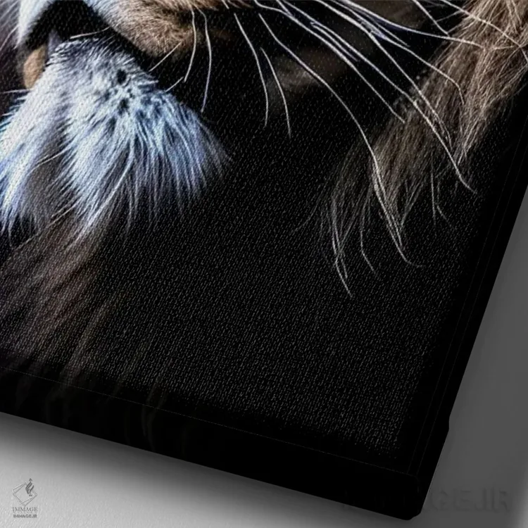 تابلو Lion's Head,شیر با کلاه، سر شیر اثر آدریان ویریو - نمای نزدیک بافت بوم