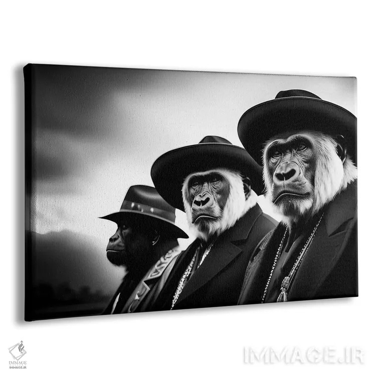 تابلو Black And White IV,گروهی از گوریلها با کلاه و لباس شیک، سیاهوسفید اثر آدریان ویریو - نمای پرسپکتیو محصول
