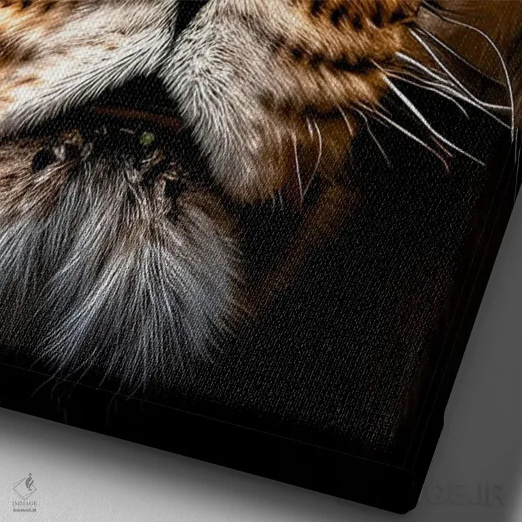 تابلو Animal II,پرتره صورت شیر به صورت جداشده اثر آدریان ویریو - نمای نزدیک بافت بوم