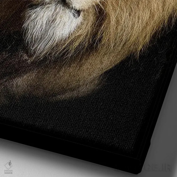 تابلو پرتره شیر به صورت جدا روی پسزمینه سیاه اثر آدریان ویریو - نمای نزدیک بافت بوم