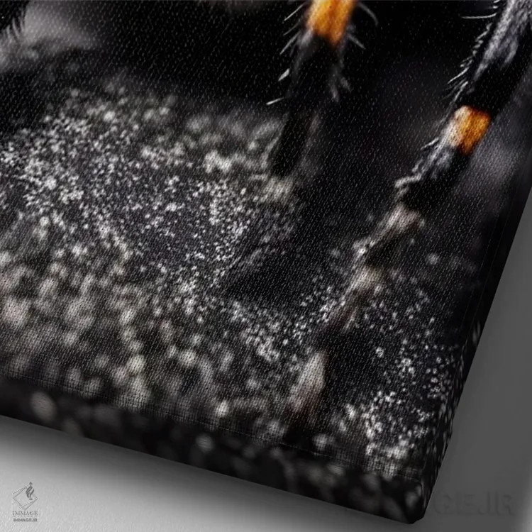 تابلو ماکرو عنکبوت اثر آدریان ویریو - نمای نزدیک بافت بوم