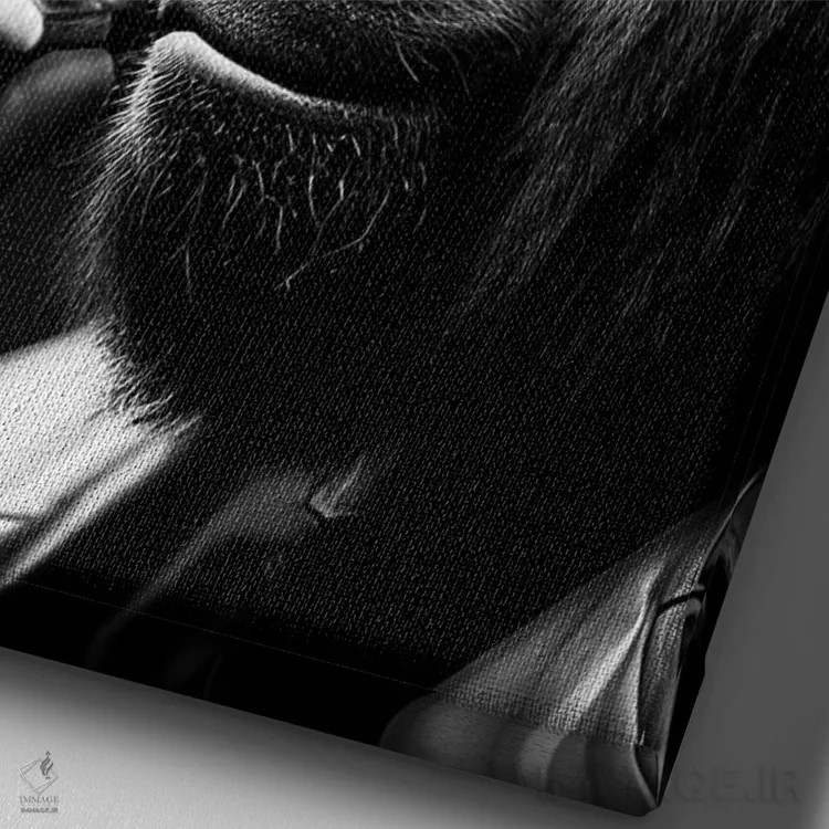 تابلو Hat On Head And Elegantly Dressed, Animal Black And White V,پرتره سیاهوسفید گوریل در حال سیگار کشیدن با کلاه و لباس شیک اثر آدریان ویریو - نمای نزدیک بافت بوم