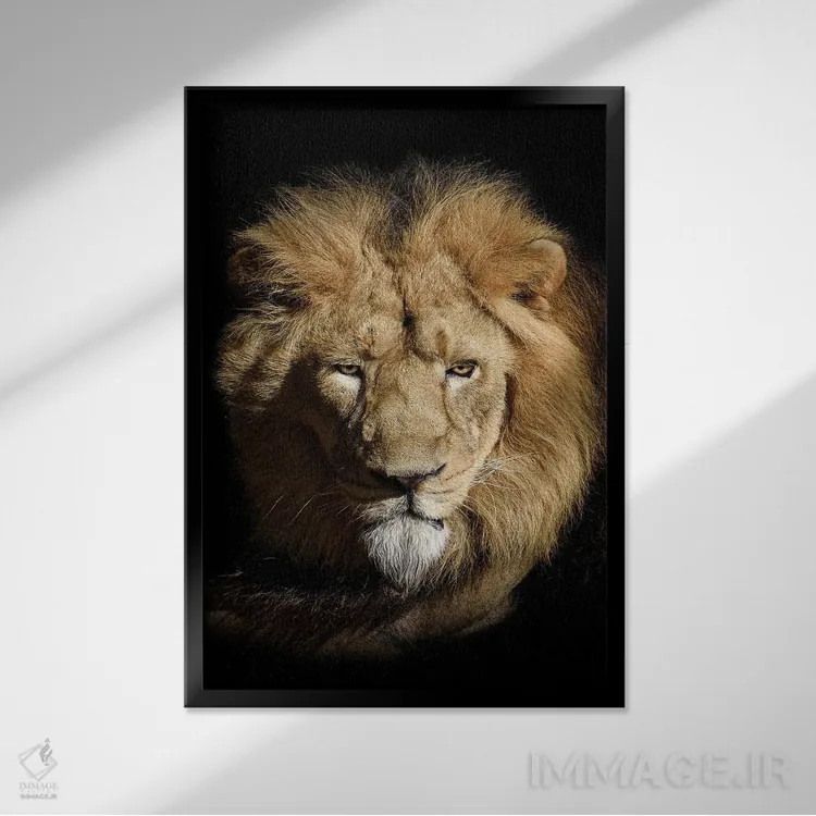 تابلو پرتره شیر به صورت جدا روی پسزمینه سیاه اثر آدریان ویریو - نمای قابدار مشکی