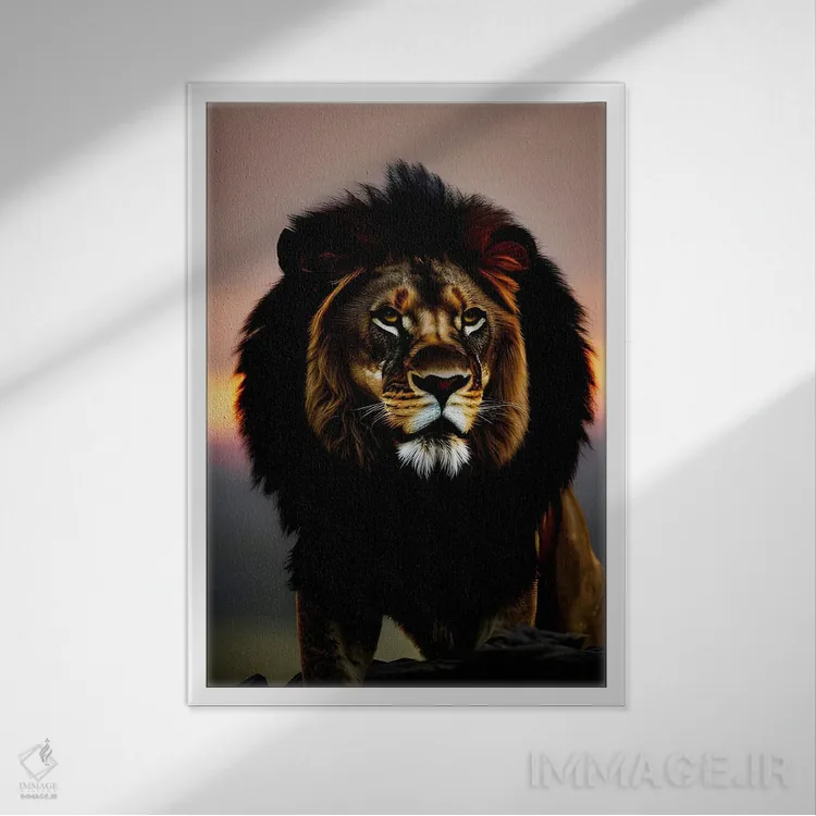 تابلو Animal,پرتره شیر در غروب خورشید اثر آدریان ویریو - نمای قابدار سفید