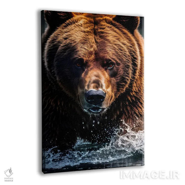 تابلو Face Animal In Water,پرتره صورت خرس در آب اثر آدریان ویریو - نمای پرسپکتیو محصول