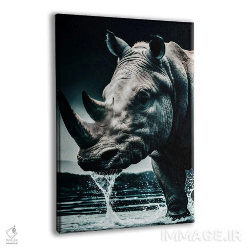 تابلو Face Animal In Water,پرتره صورت کرگدن در آب اثر آدریان ویریو - نمای پرسپکتیو محصول