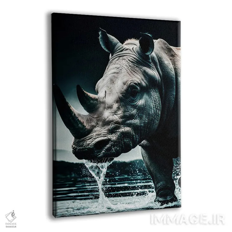 تابلو Face Animal In Water,پرتره صورت کرگدن در آب اثر آدریان ویریو - نمای پرسپکتیو محصول