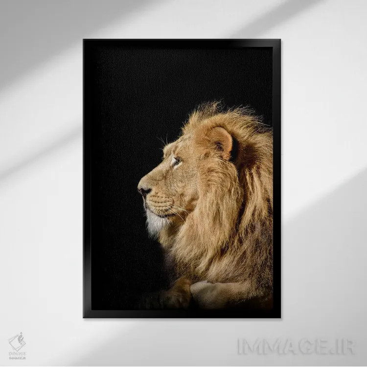 تابلو سر شیر جداشده اثر آدریان ویریو - نمای قابدار مشکی