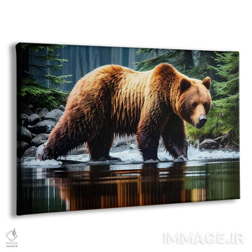 تابلو خرس در آب اثر آدریان ویریو - نمای پرسپکتیو محصول