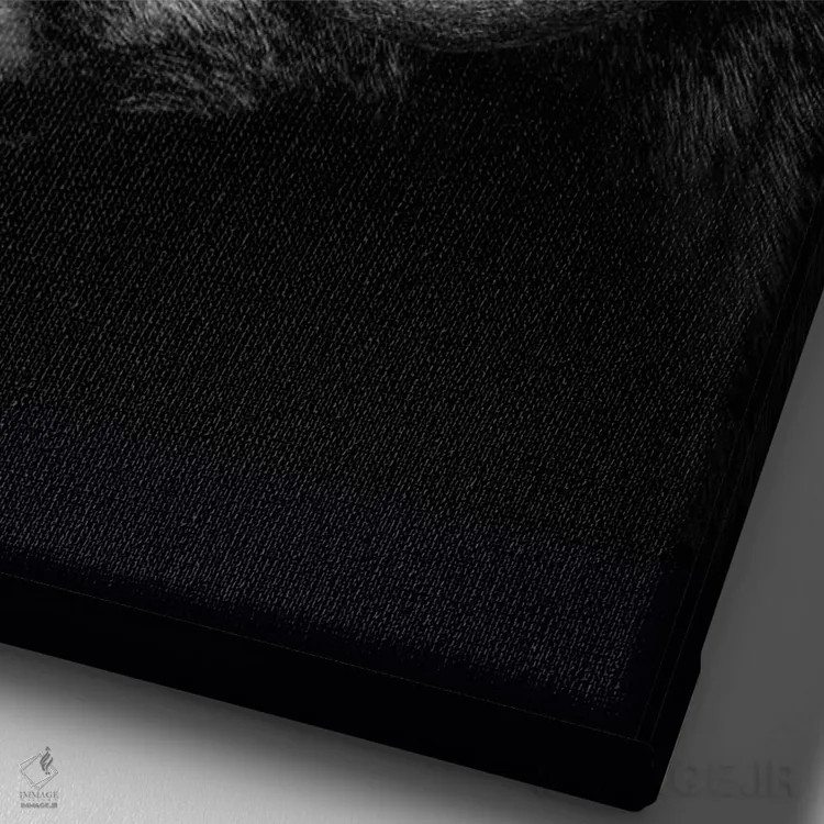 تابلو Profile Close Up Of Head And Horns,نمای نزدیک سر و شاخهای قوچ اثر آدریان ویریو - نمای نزدیک بافت بوم