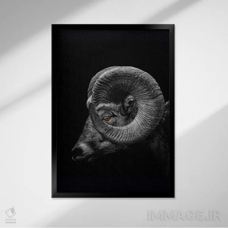 تابلو Profile Close Up Of Head And Horns,نمای نزدیک سر و شاخهای قوچ اثر آدریان ویریو - نمای قابدار مشکی
