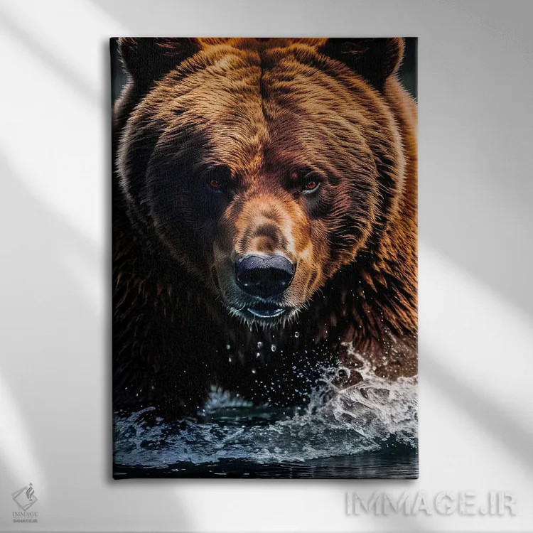 تابلو Face Animal In Water,پرتره صورت خرس در آب اثر آدریان ویریو - نمای روبهرو روی دیوار