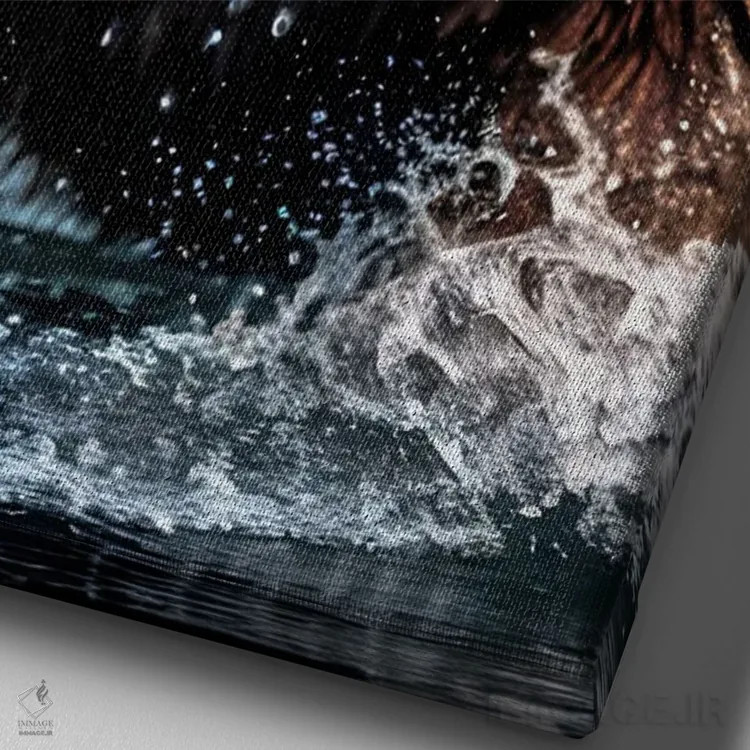 تابلو Face Animal In Water,پرتره صورت خرس در آب اثر آدریان ویریو - نمای نزدیک بافت بوم