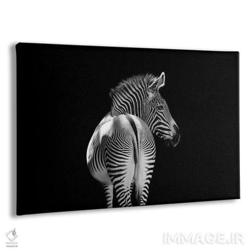 تابلو گورخر در حال دور شدن، سیاهوسفید اثر آدریان ویریو - نمای پرسپکتیو محصول