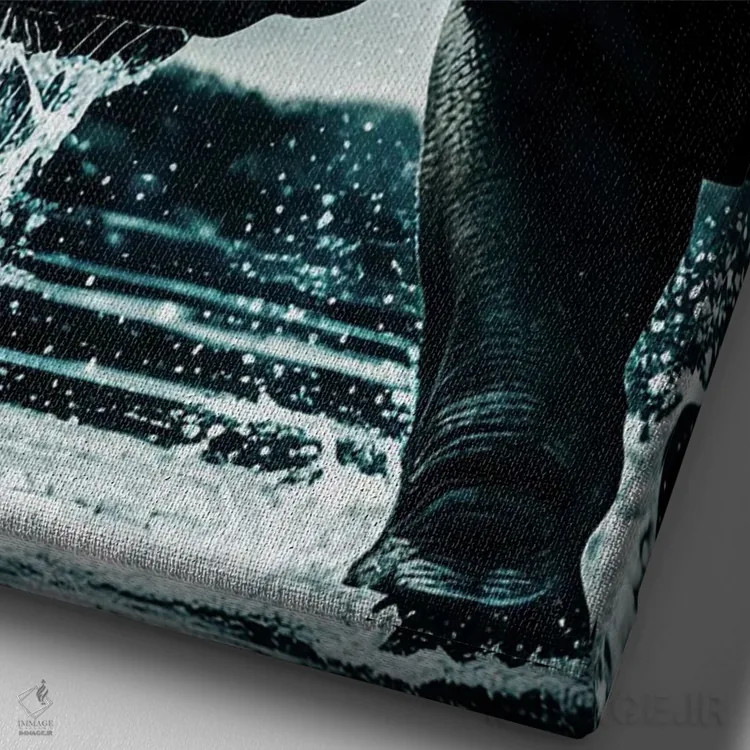 تابلو Face Animal In Water,پرتره صورت کرگدن در آب اثر آدریان ویریو - نمای نزدیک بافت بوم