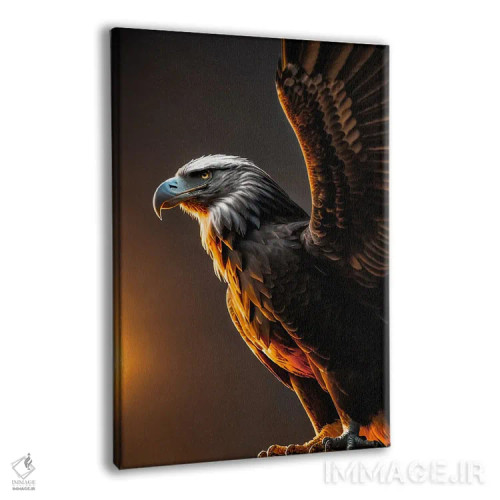 تابلو عقاب با بالهای باز در غروب خورشید اثر آدریان ویریو - نمای پرسپکتیو محصول