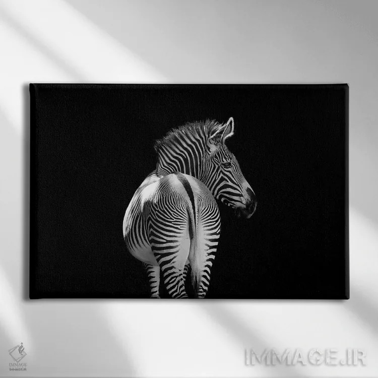 تابلو گورخر در حال دور شدن، سیاهوسفید اثر آدریان ویریو - نمای روبهرو روی دیوار