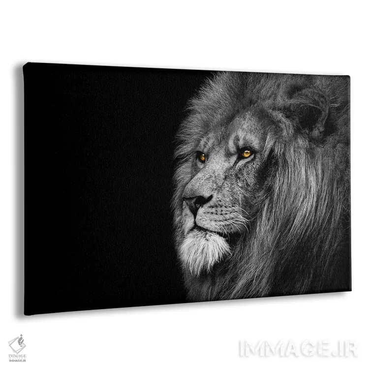 تابلو شیر در حال نگاه به دوردست، سیاهوسفید اثر آدریان ویریو - نمای پرسپکتیو محصول