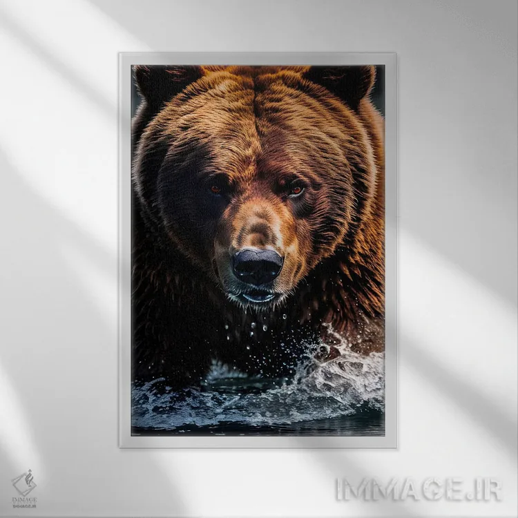 تابلو Face Animal In Water,پرتره صورت خرس در آب اثر آدریان ویریو - نمای قابدار سفید