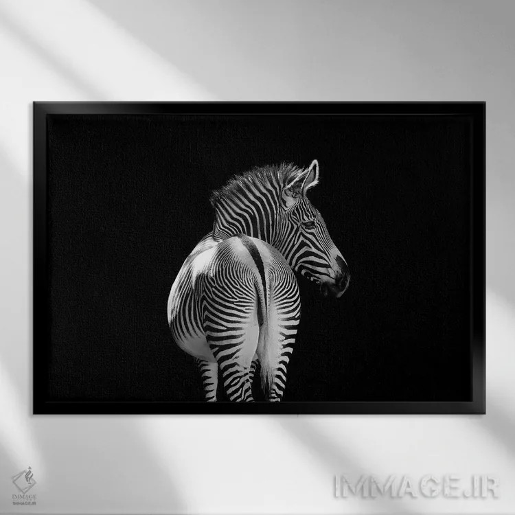 تابلو گورخر در حال دور شدن، سیاهوسفید اثر آدریان ویریو - نمای قابدار مشکی
