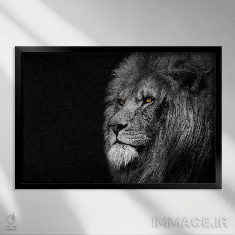 تابلو شیر در حال نگاه به دوردست، سیاهوسفید اثر آدریان ویریو - نمای قابدار مشکی