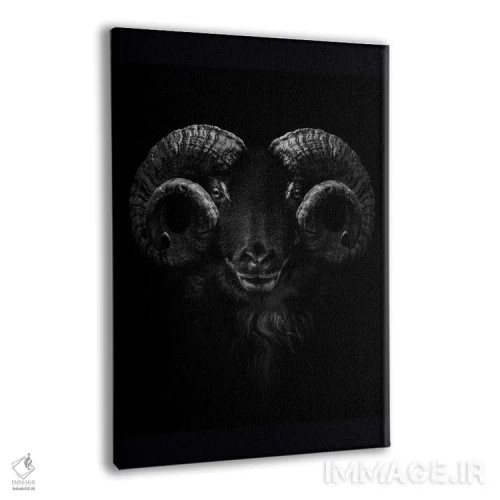 تابلو Close Up Of Head And Horns,نمای نزدیک سر و شاخهای قوچ اثر آدریان ویریو - نمای پرسپکتیو محصول