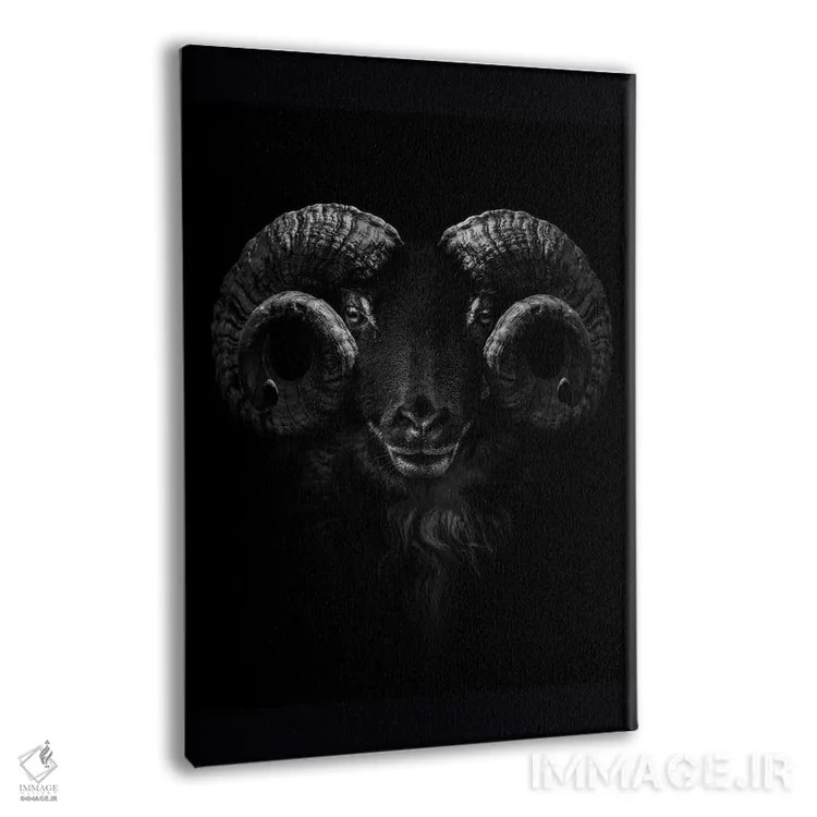 تابلو Close Up Of Head And Horns,نمای نزدیک سر و شاخهای قوچ اثر آدریان ویریو - نمای پرسپکتیو محصول