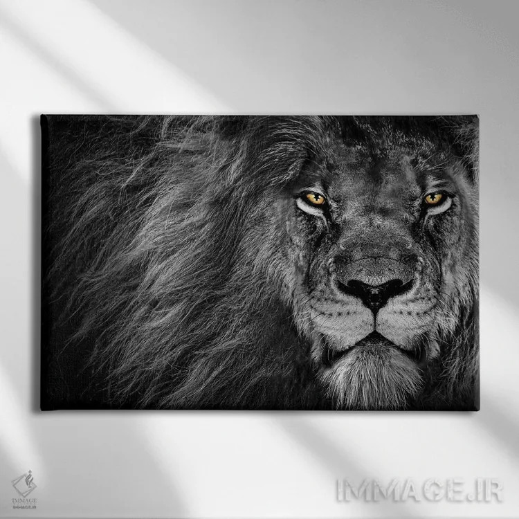 تابلو نگاه شیر، سیاهوسفید اثر آدریان ویریو - نمای روبهرو روی دیوار